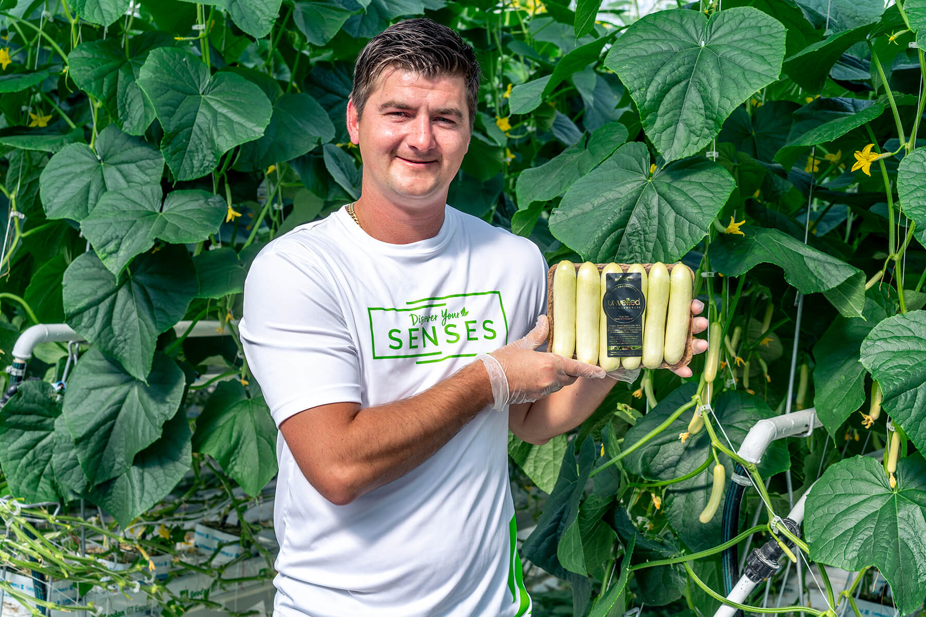 nature-fresh-farms-reveals-new-unveiled-mini-cucumbers-nature-fresh-farms